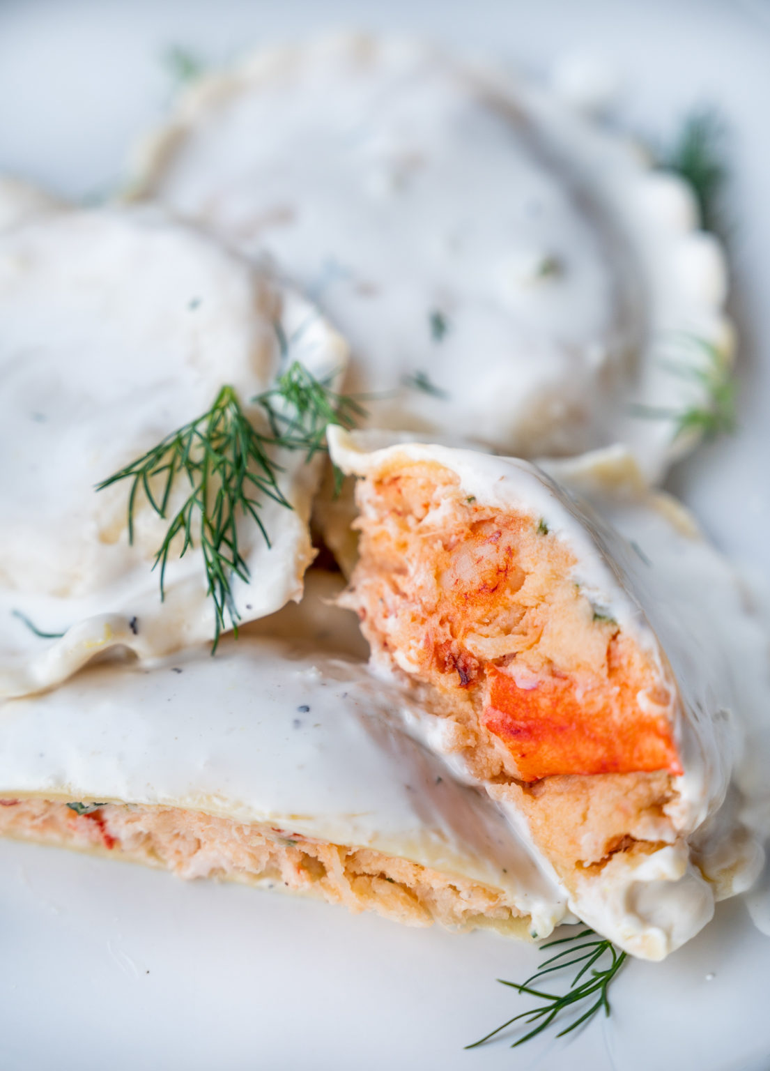 Lobster Ravioli in Creamy Lemon Dill Dressing Lilly's Fresh Pasta